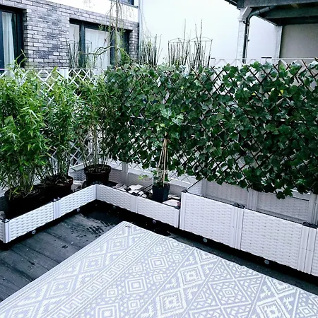 Gemuetliche Am Rhein Kolonia