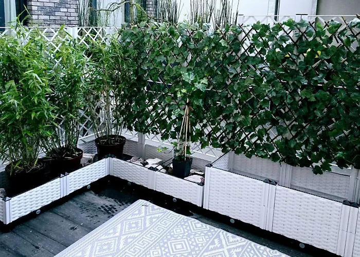 Gemuetliche Am Rhein Cologne